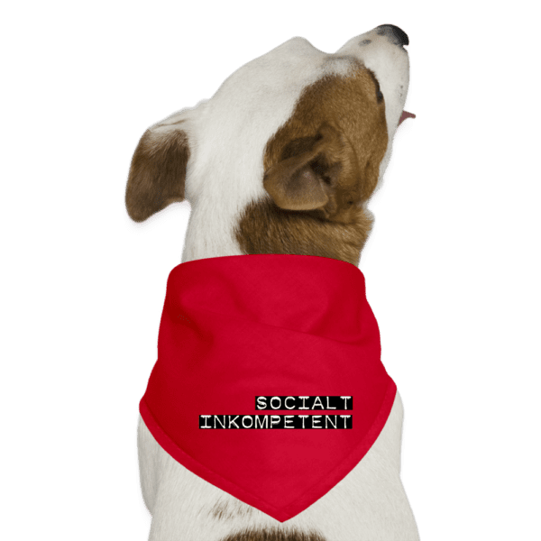 Hundbandana