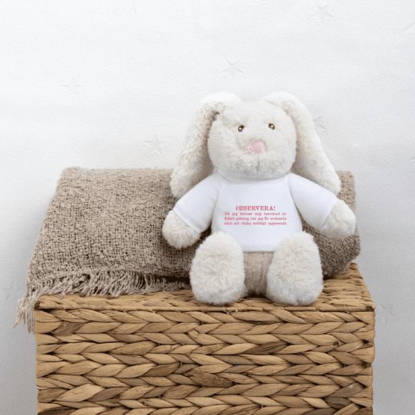 Nalle Bunny - Bild 2