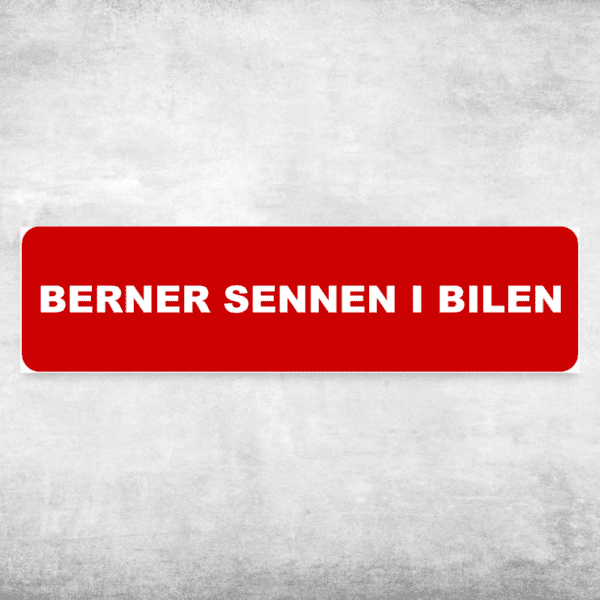 Berner Sennen i bilen