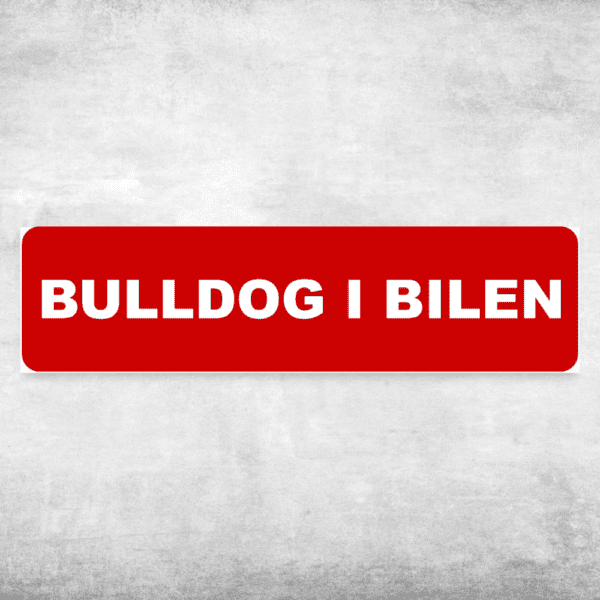 Bulldog i bilen