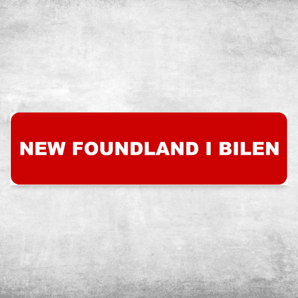 New foundland i bilen