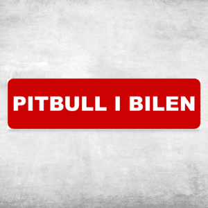 Pitbull i bilen